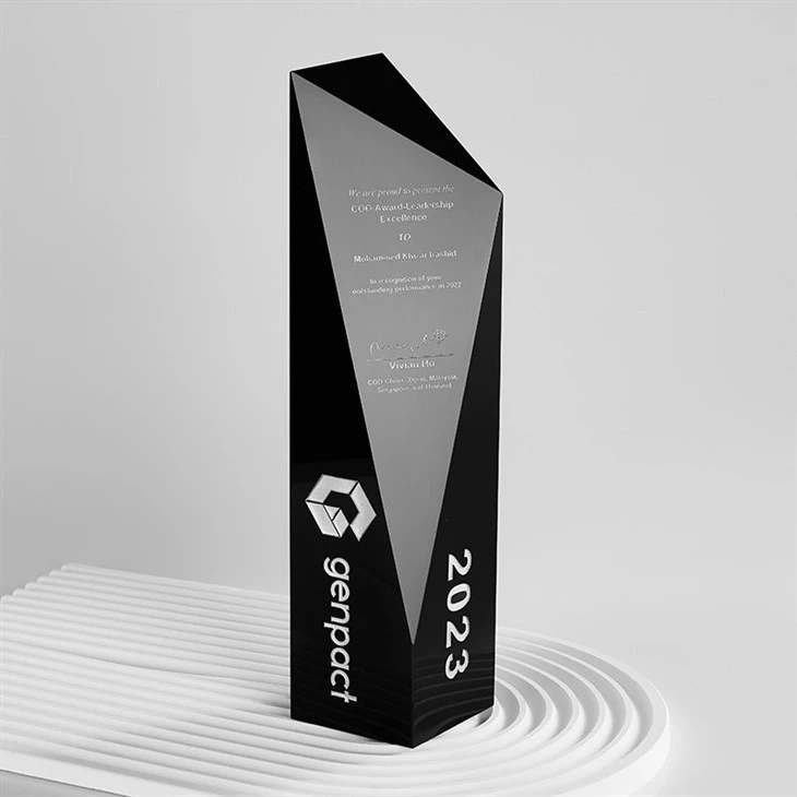 Black Cut Geometry Crystal Trophy